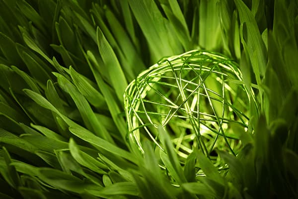 增長建設(shè)站